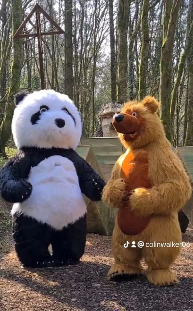 Panda and Bear at the park.